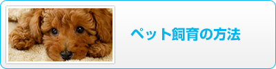 �y�b�g����̕��@